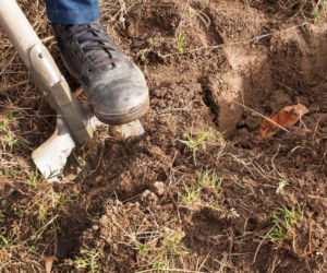 Wielkanocne przesądy