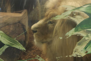  Zmiana w godzinach otwarcia zamojskiego zoo. Można zwiedzać dłużej