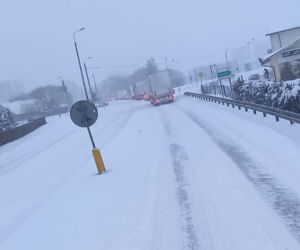Atak zimy w Białymstoku i województwie podlaskim 04.02.2021 [ZDJĘCIA]