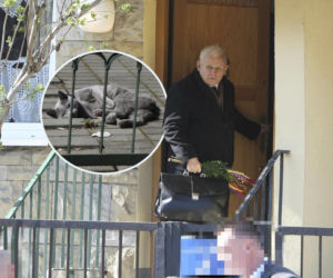 Jarosław Kaczyński szykuje się do świąt