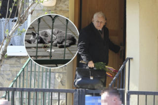 Nowy przyjaciel Kaczyńskiego. Filuś z sąsiedztwa polubił prezesa! [ZDJĘCIA]