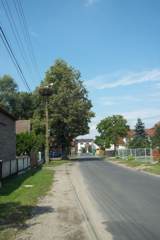 To miasto ma jeden najpiękniejszych ratuszy w województwie łódzkim. Jeszcze niedawno było wsią