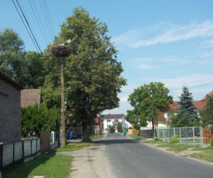 To miasto ma jeden najpiękniejszych ratuszy w województwie łódzkim. Jeszcze niedawno było wsią