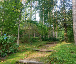Tajemniczy ogród na Warmii. Tu warto wybrać się na jesienny spacer [ZDJĘCIA]