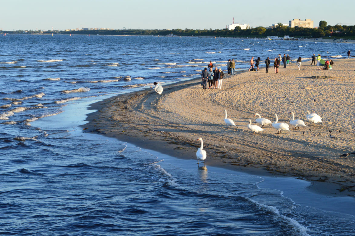 Polska plaża wyróżniona. Znalazła się na liście 100 najbardziej malowniczych plaż na świecie 