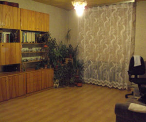 Zdjęcie 4949