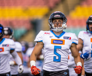 Panthers Wrocław podejmują na własnym terenie drużynę Hamburg Sea Devils