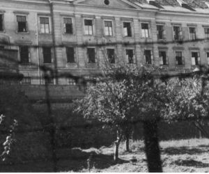Rzeszów na początku XX wieku. Zbiory Narodowego Archiwum Cyfrowego.