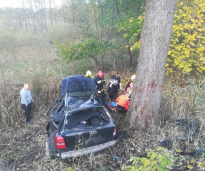 Audi wylądowało na drzewie