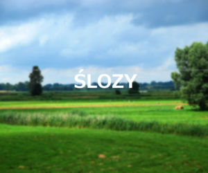 Ślozy