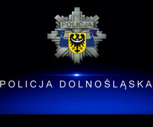 Sadysta rzucił psem przez ogrodzenie schroniska! Wszystko się nagrało. 