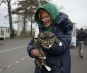 Ukraina. Uratowane zwierzęta