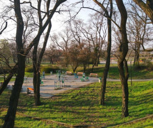 Czy poznaniacy stosują się do zakazów? Zaskakujące dane Straży Miejskiej! [ZDJĘCIA]