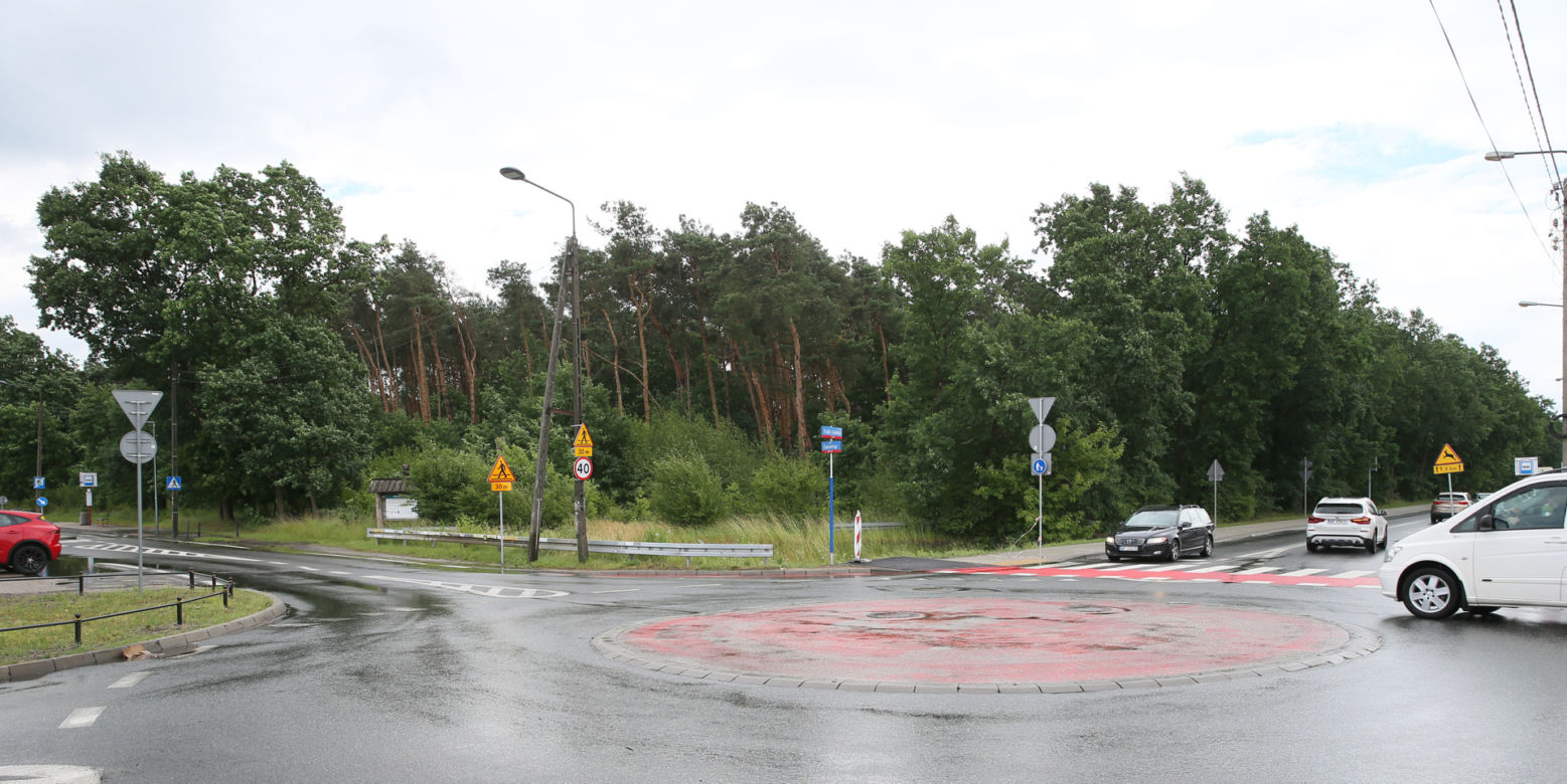 Wytną drzewa żeby zrobić Park Aktywności Rodzinnej. Mieszkańcy Wawra wściekli