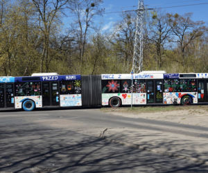 Autobusy z podziękowaniami