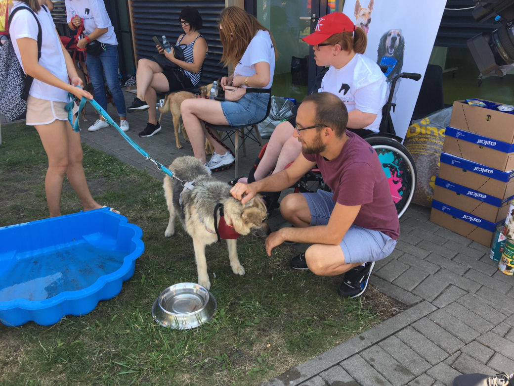 Charytatywne wydarzenie dla zwierząt w Grudziądzu