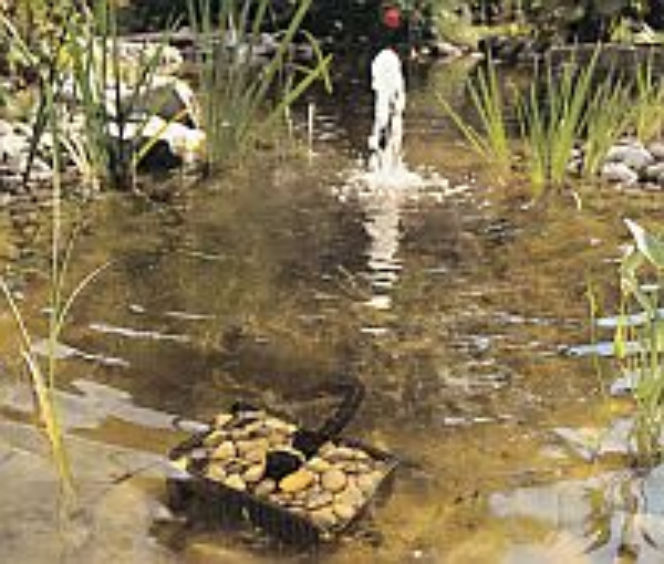 Zdjęcie do bloczka '2 zdjecia' - art 1301