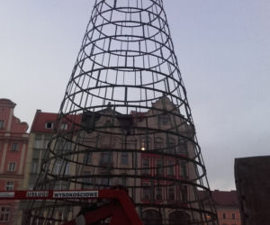 Na wrocławskim rynku montują już choinkę