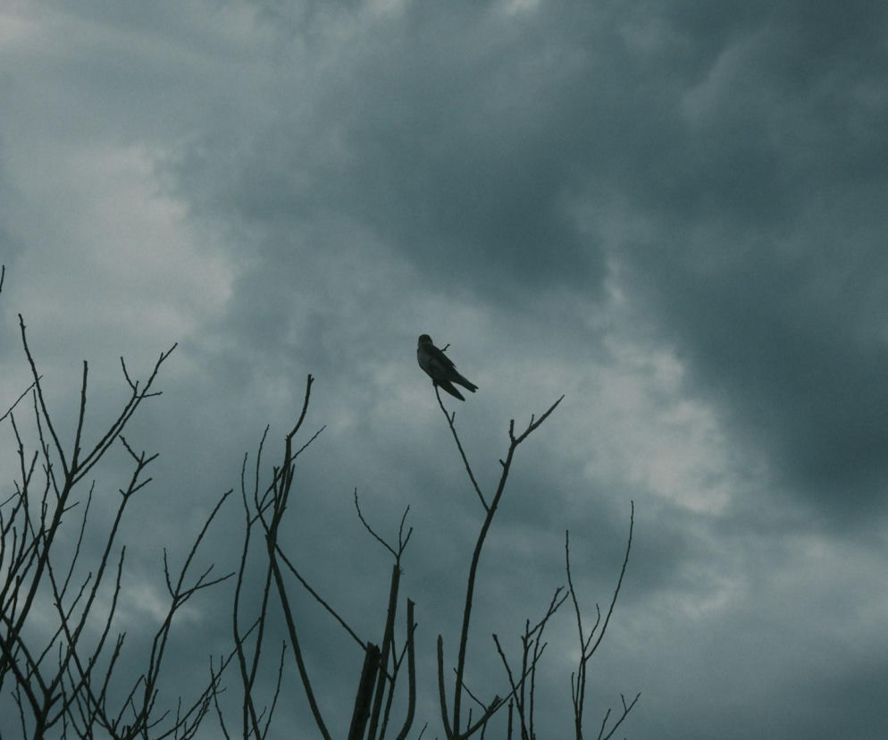 Deszczowe chmury nad Polską