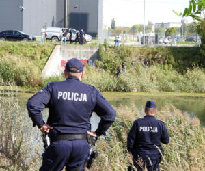 Poszukiwany i z zakazami po pościgu dał nura w trzciny. „W Polsce już nic nie można!”