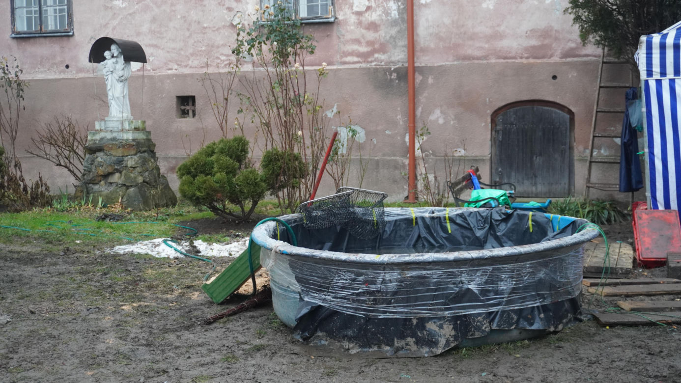 Benedyktynki sprzedają ekologiczne karpie w XIII-wiecznym klasztorze w Staniątkach. To już wielowiekowa tradycja 