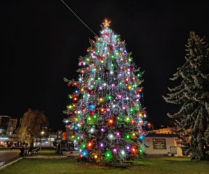 Choinka miejska w Siedlcach już ubrana w nowe ozdoby i światełka! 