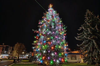 Choinka miejska w Siedlcach już ubrana w nowe ozdoby i światełka! 