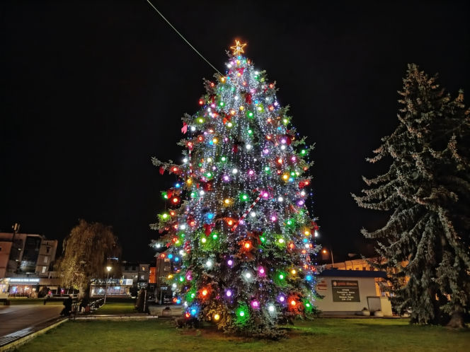 Choinka miejska Siedlce