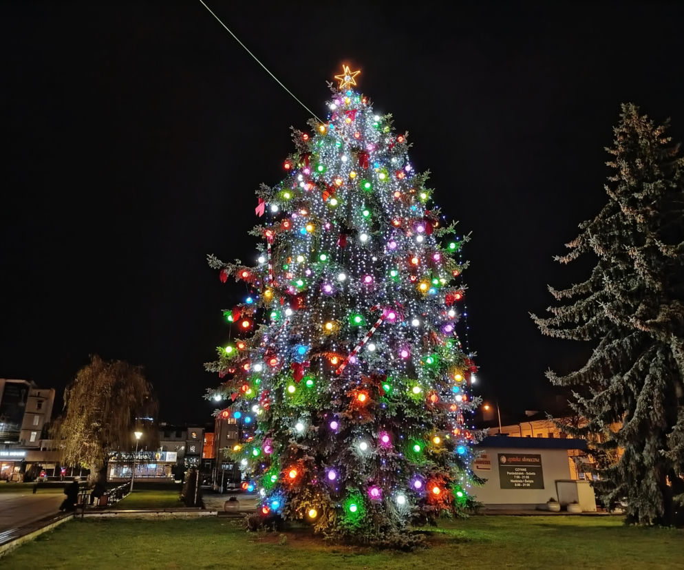 Choinka miejska w Siedlcach już ubrana w nowe ozdoby i światełka! 