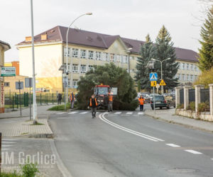 Gorlice: Na rynku już stoi choinka. Jest piękna. MUSISZ ją zobaczyć