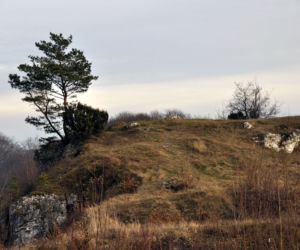 Zdjęcie 5928