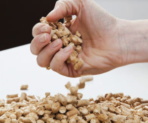Pellet w Polsce drogi, a za granicą? Porównujemy ceny pelletu w Europie