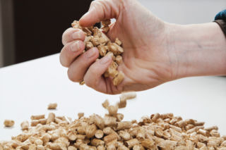 Pellet w Polsce drogi, a za granicą? Porównujemy ceny pelletu w Czechach, Niemczech i innych krajach