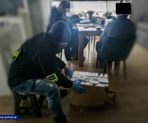 Viagra oraz leki przeciwbólowe i nasenne sprzedawane w Internecie