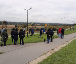 „W zielone gramy” - akcja sadzenia roślin
