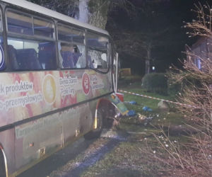 Autobus z dziećmi uderzył w drzewo! Są ranni. Dramat w Trzebiechowie [GALERIA]