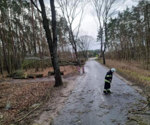 Niż Eunice w Grudziądzu. Straty są ogomne!