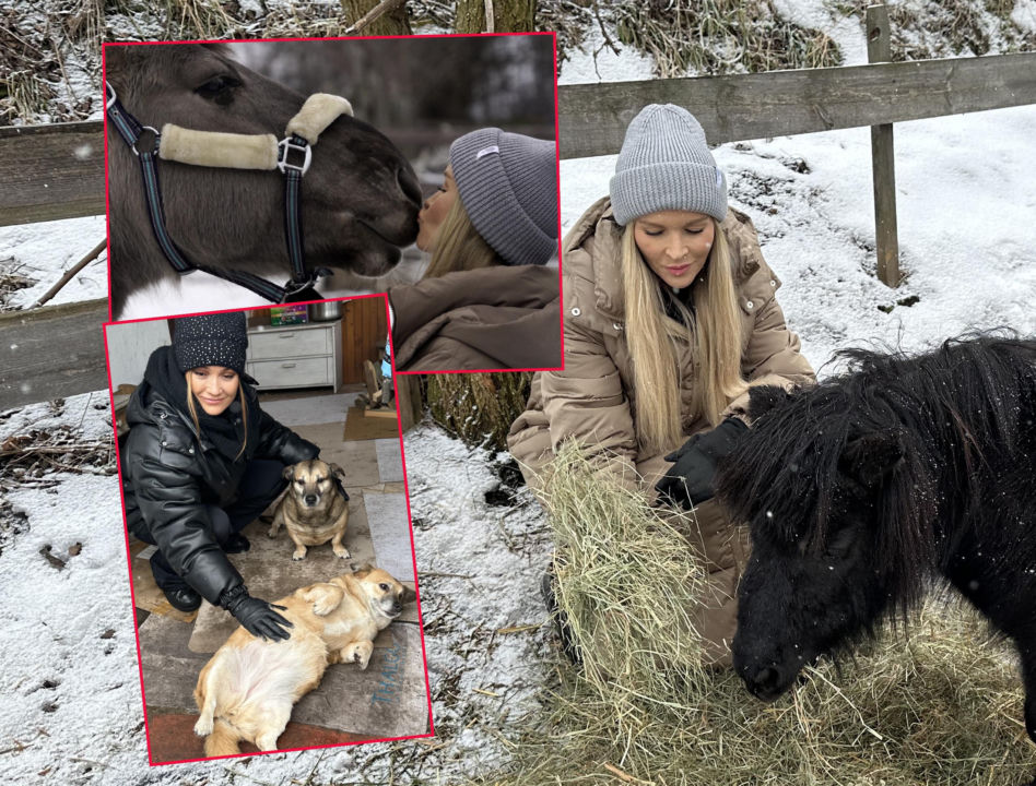 Joanna Krupa odwiedza schronisko dla zwierząt
