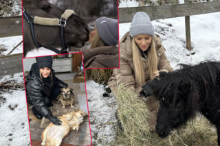Joanna Krupa i Bagi ratują chore i porzucone konie i kozy. Poruszający reportaż Super Expressu! Serce pęka mi za każdym razem