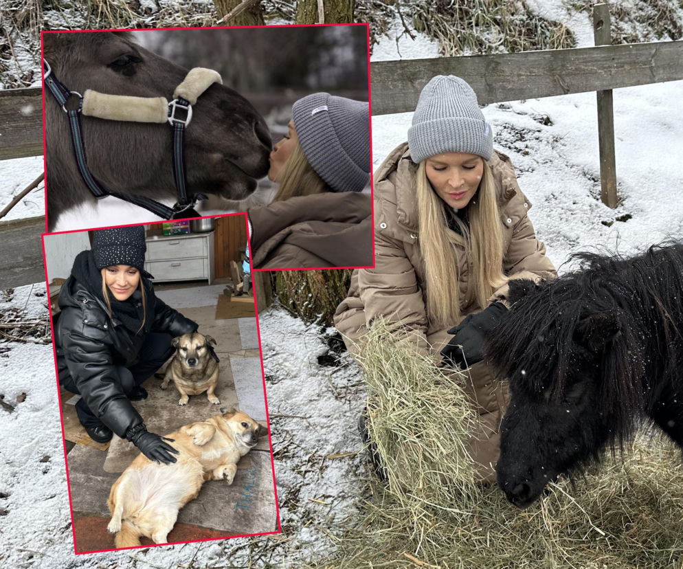 Joanna Krupa odwiedza schronisko dla zwierząt