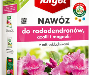 Nawozy do rododendronów