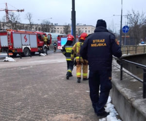 Szokujący incydent w Warszawie. Mężczyzna wpadł do wybiegu dla niedźwiedzi