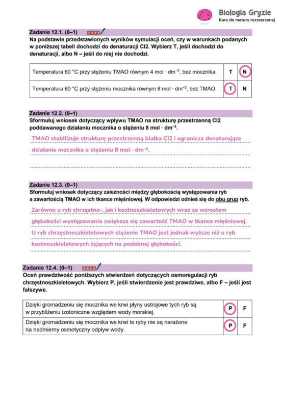 Matura 2026 biologia ROZSZERZONA: Arkusze CKE i odpowiedzi - sprawdź, czy zdałeś! 8.05.2026