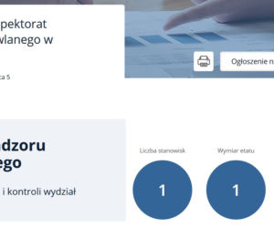 Praca w urzędach w Rzeszowie. Aktualne oferty pracy. Gdzie szukają pracowników? Ile można zarobić? [LISTA]