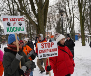 Schronisko dla psów w Sobolewie zamknięte! Mocne słowa Donalda Tuska