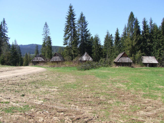 To jedna z najpiękniejszych wsi na Podhalu. Według legendy jej pierwszym sołtysem był słynny zbójnik