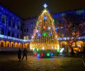 Iluminacje bożonarodzeniowe w Szczecinie