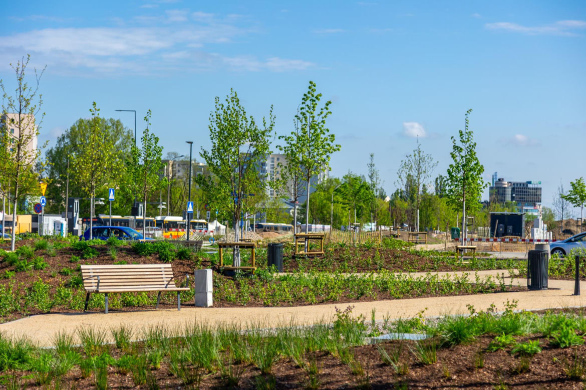 Park nad Południową Obwodnicą Warszawy na Ursynowie