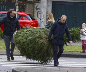 Premier Donald Tusk ma gest? Kupił dwie choinki i odmówił reszty