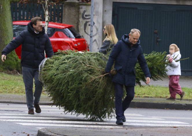 Premier Donald Tusk ma gest? Kupił dwie choinki i odmówił reszty